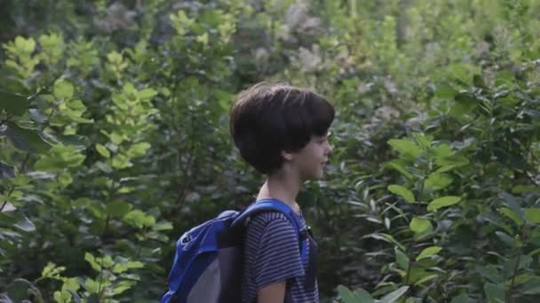 Een Jongen Met Een Rugzak Wandelt Door Het Bos Een — Stockvideo