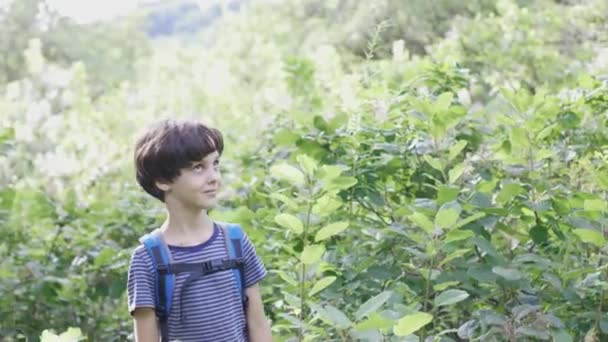 Boy Backpack Walks Forest Child Explores Wildlife Kid Stands Alone — Stock Video