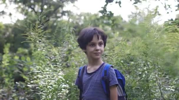 Een Jongen Met Een Rugzak Wandelt Door Het Bos Een — Stockvideo