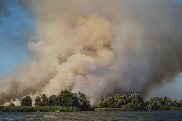 Velké Mraky Kouře Požáru Přírodní Katastrofy Lesních Požárů Ekologické Katastrofy — Stock fotografie