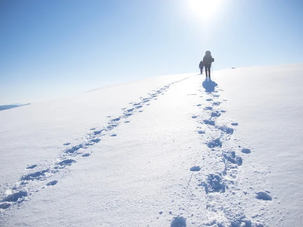 남자는 산에가 서. — 스톡 사진