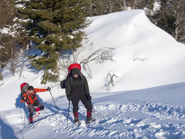 Les hommes en raquettes vont dans les montagnes . — Photo