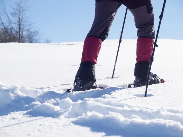 Der Mann in den Schneeschuhen. — Stockfoto