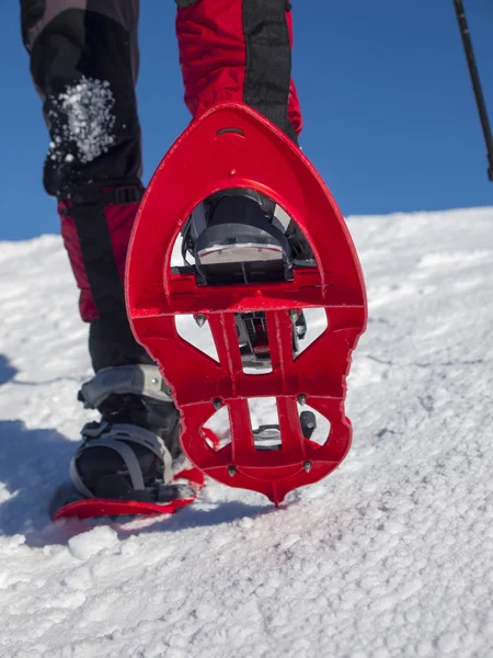 Pies en raquetas de nieve . — Foto de Stock