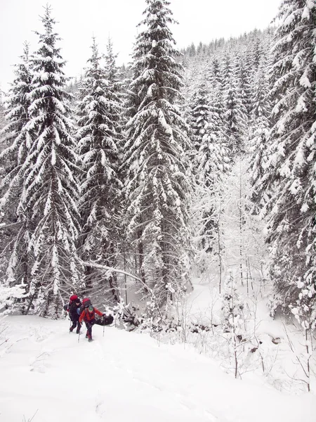Gli uomini nel bosco in inverno . — Foto Stock
