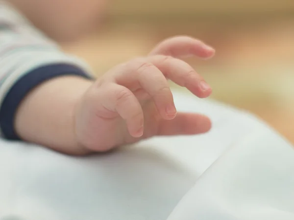 Hand van een klein kind. — Stockfoto