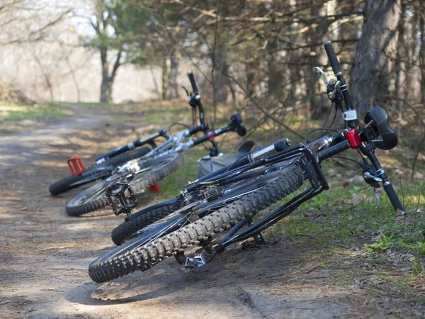 Deux vélos sont dans les bois . — Photo