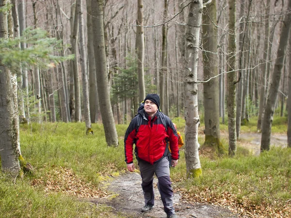 En man går genom skogen. — Stockfoto