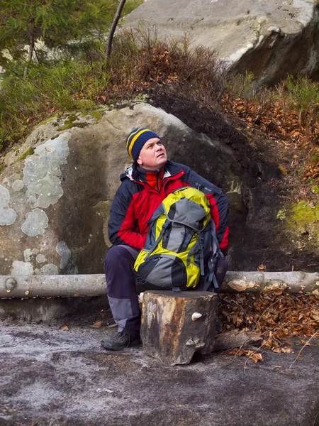 Ormanda oturan adam.