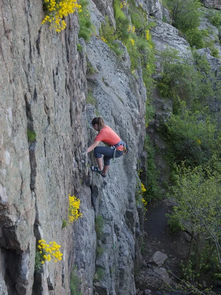 Uma jovem envolvida em escalada . — Fotografia de Stock