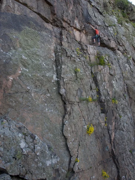 Une jeune fille engagée dans l'escalade . — Photo