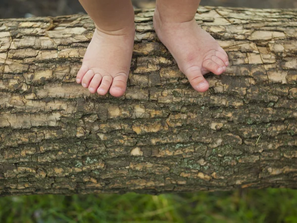 Pés de bebê estão de pé em um galho de árvore . — Fotografia de Stock