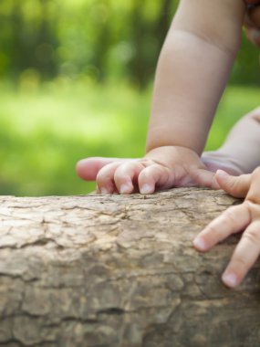 Küçük bir çocuğun elinde.