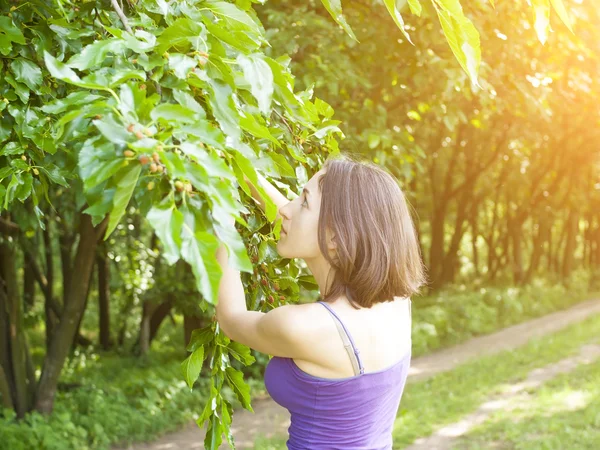 Chica come moras del árbol . — Foto de Stock