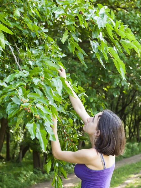 Chica come moras del árbol . — Foto de Stock