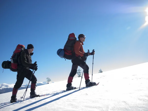 Des amis voyagent à travers les montagnes . — Photo