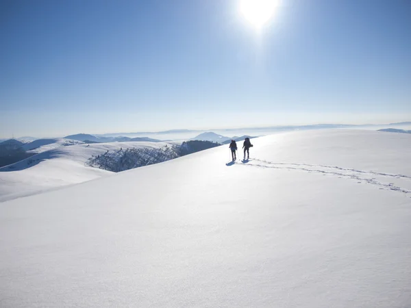 İki arkadaş dağda kamp gitti.