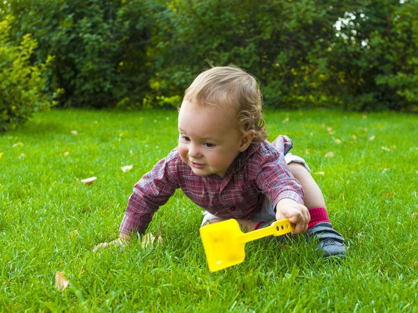 잔디에 크롤 링 하는 아기. — 스톡 사진