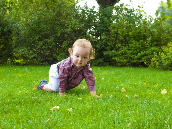 En bebis som kryper på gräset. — Stockfoto