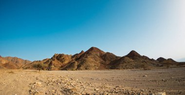 Kuru çöl vadisi manzarası. Çölde yolculuk. Eilat. İsrail.