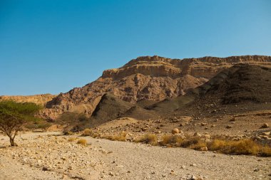 Kuru çöl vadisi manzarası. Çölde yolculuk. Eilat. İsrail.