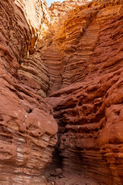 Eilat yakınlarındaki Gai Avud Kanyonu, İsrail Çölü boyunca seyahat edin. Doğal eğlence. İsrail 'de turizm ve seyahat.