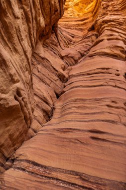 Eilat yakınlarındaki Gai Avud Kanyonu, İsrail Çölü boyunca seyahat edin. Doğal eğlence. İsrail 'de turizm ve seyahat.