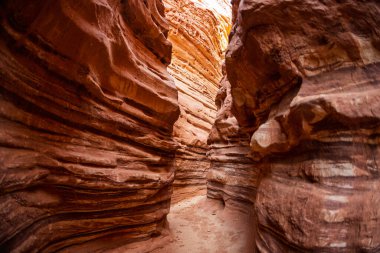 Eilat yakınlarındaki Gai Avud Kanyonu, çölde yürüyüş. İsrail 'de turizm ve seyahat