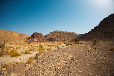 Kuru çöl vadisi manzarası. Çölde yolculuk. Eilat. İsrail.