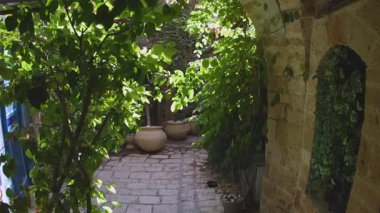 İsrail 'in eski Jaffa şehrinin dar sokaklarında bir gezinti. İsrail 'de seyahat. Eski Şehre Seyahat.