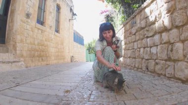 Genç bir turist sokak kedisi besliyor. Turistler hayvanlarla ilgilenir. Hayvanlar için aşk.