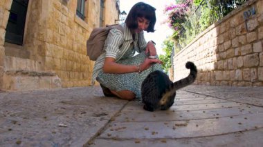 Genç bir turist sokak kedisi besliyor. Turistler hayvanlarla ilgilenir. Hayvanlar için aşk.