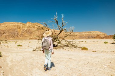 Timna Ulusal Parkı 'nın çarpıcı doğal güzelliği. Sırt çantalı bir kadın yürüyüşçü çölde yürüyor, kırmızı kayaların ve kanyon geçitlerinin tadını çıkarıyor. Timna Ulusal Parkı. İsrail.