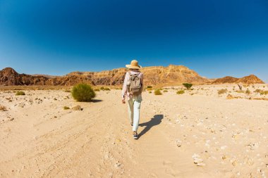 Çölde yürüyen sırt çantalı bir kadın. Çölde gezinti ve yürüyüş. Arkadan bak. Timna Ulusal Parkı. İsrail. Çölde bir turist.