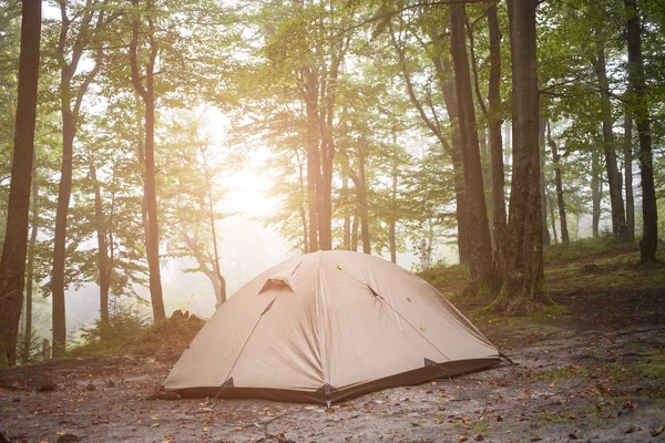 La tenda è nella foresta . — Foto Stock