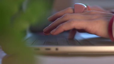 Ofiste dizüstü bilgisayarda yazı yazan, yazı yazan ya da sosyal medya için hikayeler yazan bir kadın.