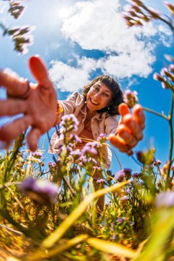 Mutlu bir kız. Tarlada kır çiçeği toplayan bir kadın. Bir yaz günü çayırda bir buket çiçek toplayan bir kız. Baharda dışarıda vakit geçirmek..