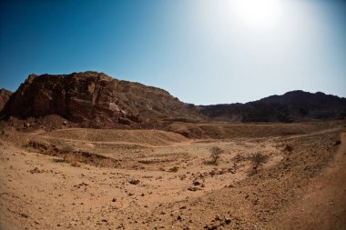 Çölde yol. İsrail çölü boyunca seyahat etmek. Doğal cazibeler. İsrail 'de turizm ve seyahat. Eilat.