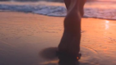 Sahilde bir kız. Sahilde çıplak ayaklı bir kadının yakın çekimi. Bir kadın sahilde yürüyor ve yavaşça denize giriyor.