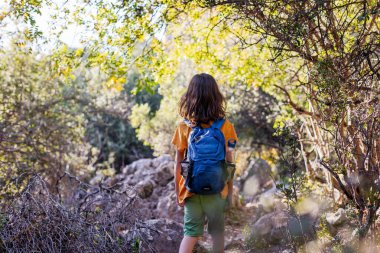 Yaz tatili. Sırt çantalı bir çocuk güneşli bir yaz gününde ormanda dışarıda eğleniyor. Sırt çantası ve su şişesi olan bir çocuk. Çocuklu aileler için yaz etkinlikleri.