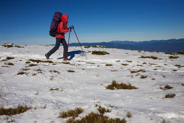 Bergsteiger geht durch den Schnee. — Stockfoto