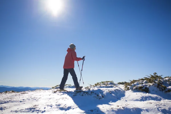 Het meisje wandelingen in de bergen. — Stockfoto