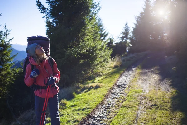 Een vrouw loopt in een bospad op een zonnige dag. — Stockfoto