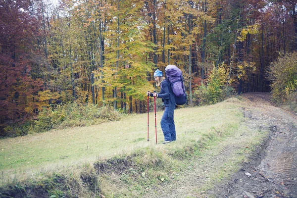 Meisje wandelend in het bos. — Stockfoto