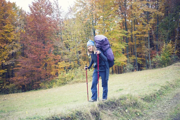 Meisje wandelend in het bos. — Stockfoto