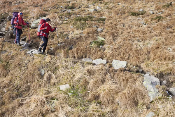 Deux filles voyagent dans les montagnes . — Photo