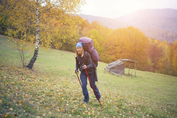 Das Mädchen mit dem Rucksack im Wald. — Stockfoto