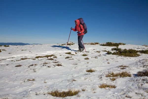 Bergsteiger geht durch den Schnee. — Stockfoto