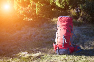 Büyük bir çanta çimenlerin üzerinde duruyor.