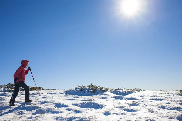 Menina jovem e bonita andando na neve . — Fotografia de Stock